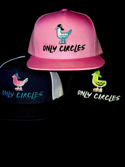 FLAT BILL Only Circles