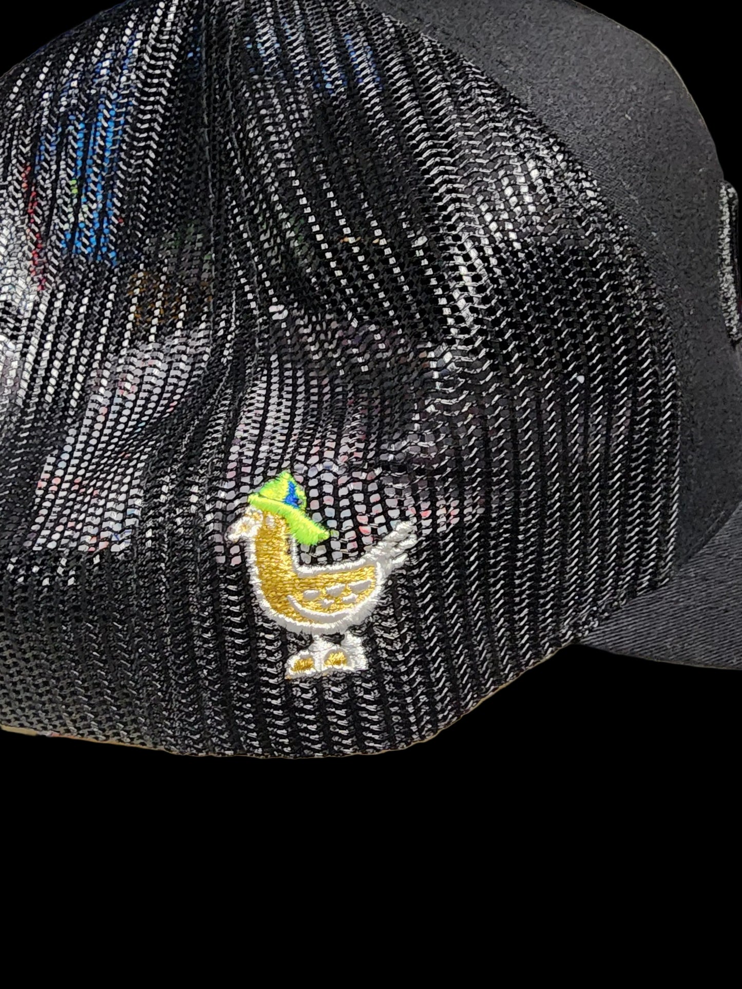 FLAT BILL Only Circles